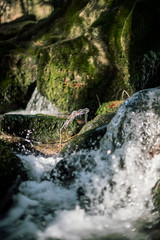 The H&ouml;llbachtal in Bavaria in Germany VIII