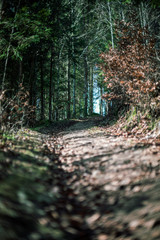 The Höllbachtal in Bavaria in Germany 11