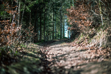 The Höllbachtal in Bavaria in Germany 12