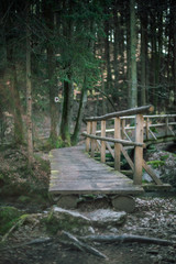 The Höllbachtal in Bavaria in Germany 13