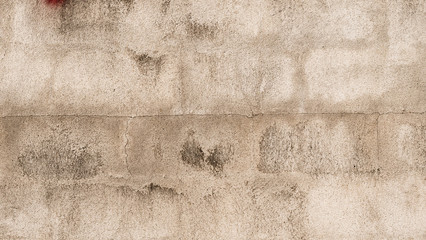 White cement wall with cracks And black donkey