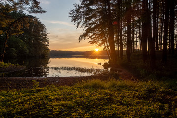 Summer sunset on a lake