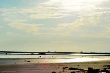 &eacute;tendue d'eau en camargue