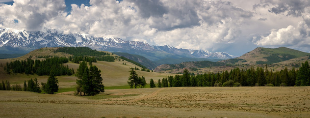 panorama of the Kurai steppe and the Chui ridge in the Altai mountains, Russia, summer
