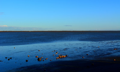 &eacute;tendue d'eau en camargue