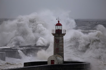 Storm at sea