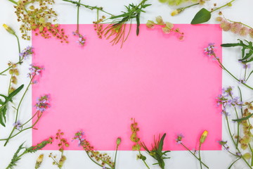 Floral border frame in pastel pink color hue with blank space. Wedding and spring season background.