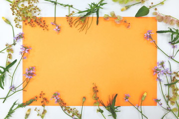 Floral border frame in pastel orange color hue. Spring season and wedding background.