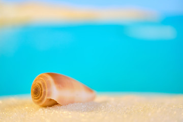 Obraz na płótnie Canvas Abstract beach - sand and sea with a seashell. Copy space. Blurred.