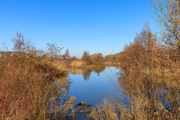 Les eaux calmes Hollandaise