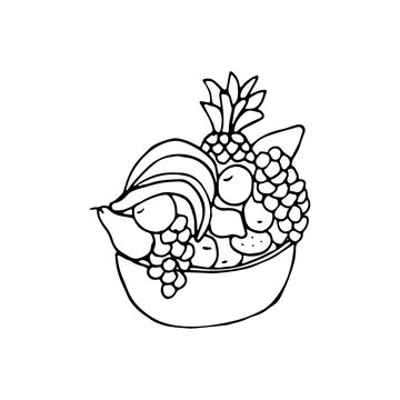 A bowl of fruit in doodle style. Hand drawn vector illustration in black ink on white background. Isolated outline.  