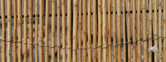 Bamboo fence backgrounds. Natural light. Lifestyles concepts.