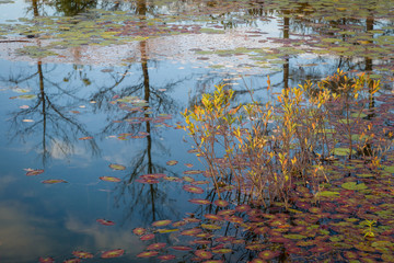 Autumn reflections in the calm surface of a north woods lake.