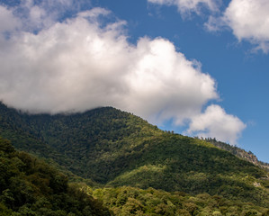 Fototapeta na wymiar The mountainous wooded area of Abkhazia on a summer hot and cloudy day