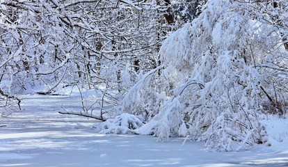 Beautiful winter landscape with snow.