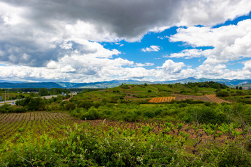 Beautiful agricultural landscape on the Way of St. James, Camino de Santiago between Ponferrada and Cacabelos in Castile and Leon, Spain under overcast May sky