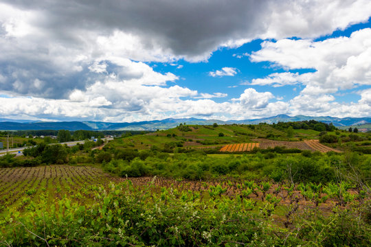 Beautiful agricultural landscape on the Way of St. James, Camino de Santiago between Ponferrada and Cacabelos in Castile and Leon, Spain under overcast May sky
