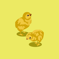 A pair of small yellow chickens on a light green background. Two chicken Chicks are cute and fluffy. Vector illustration. Barnyard, farm. Easter. Flat design. Isolated items.