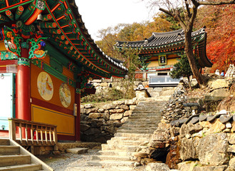 Korean Buddhist temple in Autumn