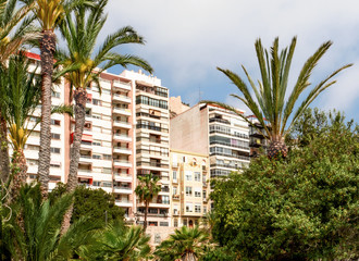 tall buildings sprout among the luxuriant vegetation on the promenade alongside the Postiguet beach.Alicante - Spain