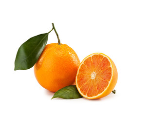 Fototapeta na wymiar Orange leaf isolated on white background - Arancia Tarocco - Citrus sinensis 
