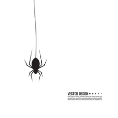 Vector illustration of creepy spider web and a spider. Decoration cobweb for Halloween