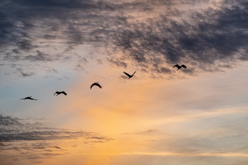 Stages of Flight