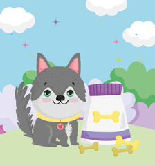 little dog sitting with collar food and bones pets