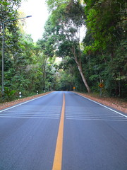 Empty Road with an endless yellow line in the mountains of Chiangmai Thailand surrounded by dense forests