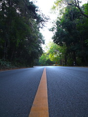 Empty Road with an endless yellow line in the mountains of Chiangmai Thailand surrounded by dense...