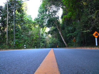 Empty Road with an endless yellow line in the mountains of Chiangmai Thailand surrounded by dense forests