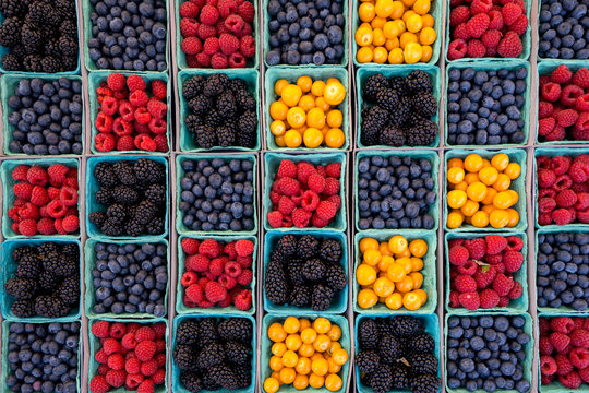 Farmers Market Bounty