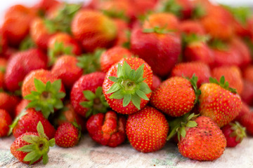 Lots of fresh ripe red strawberries on the white table. Home garden harvesting