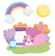 Obraz na płótnie Canvas cat with food package and vet bottle landscape pets