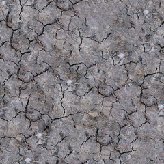 Seamless texture of cracked soil