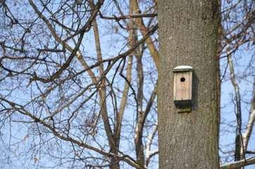 Cute little wooden bird house that hanging at the tree.