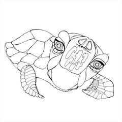 Sea Turtle Coloring Book. Hand drawing coloring book for children and adults.