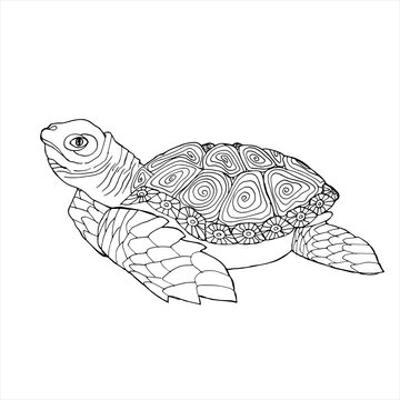 Sea Turtle Coloring Book. Hand drawing coloring book for children and adults.