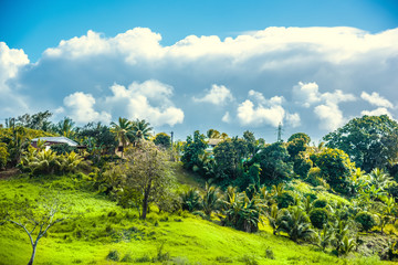 Fototapeta na wymiar Small green hill under a cloudy sky in Guadeloupe