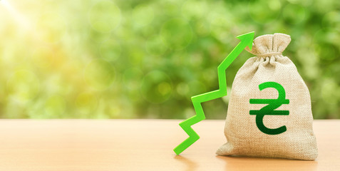 Ukrainian hryvnia money bag and green arrow up. Deposit interest rate rise. Economy accelerator...