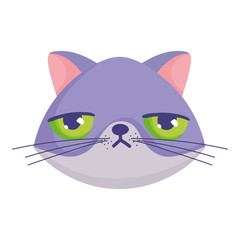 cranky cat face cartoon character pets
