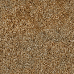 Seamless texture of wood shavings