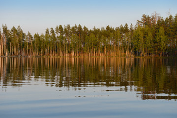 Summer evening landscape with lake water surface overlooking the forest
