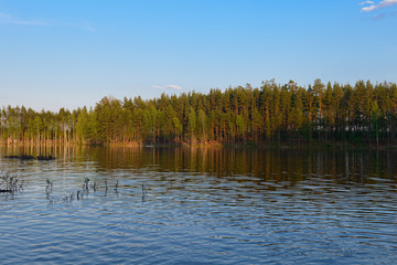 Summer evening landscape with lake water surface overlooking the forest