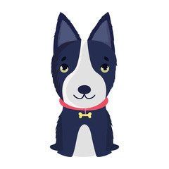 black and white dog with collar bone sitting cartoon pets
