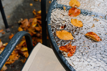 Fototapeta na wymiar autumn leaves on the table