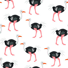Strauss bird, animal vector seamless pattern on white background. Concept  for print, wallpaper, wrapping paper