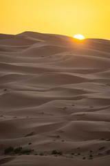 Maroc. Morocco. Merzouga. Dunes de sable dans le désert du Sahara. Sand dunes in the Sahara Desert.