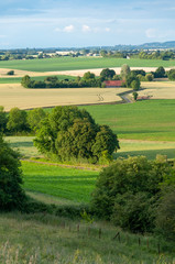 France. Sarthe. Paysage rural, champs cultiv&eacute;s et ferme. Rural landscape, cultivated fields and farm.