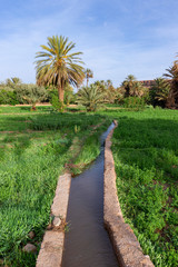 Maroc. Morocco. Ville, oasis, système d'irrigation de la palmeraie de tinghir. City, oasis, palm grove of tinghir.